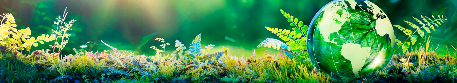 imagen-Ingeniería Ambiental