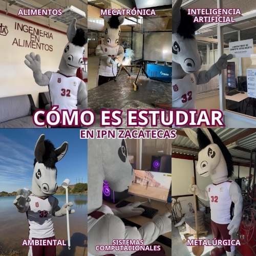 conoce nuestras carreras